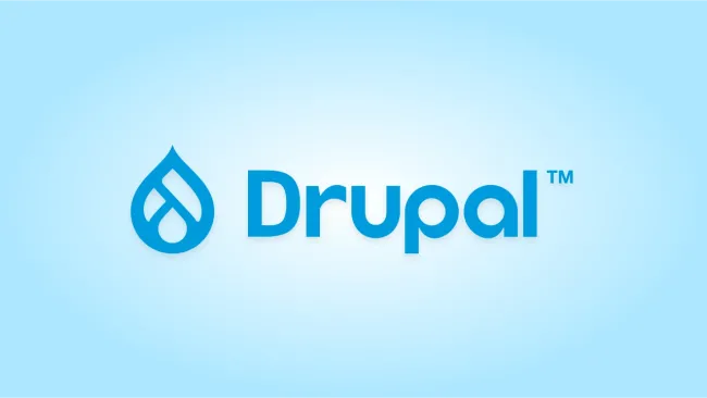 How to choose a drupal partner